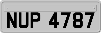 NUP4787