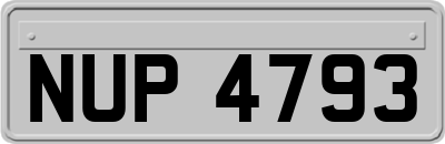 NUP4793