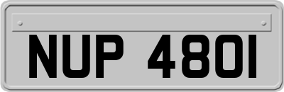 NUP4801