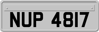 NUP4817