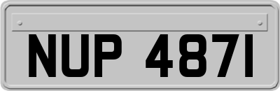 NUP4871