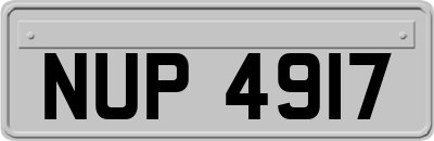 NUP4917