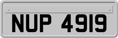 NUP4919