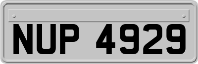 NUP4929
