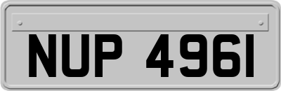 NUP4961