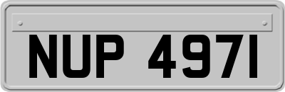 NUP4971
