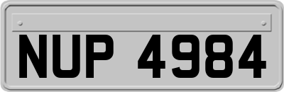 NUP4984