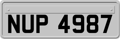 NUP4987