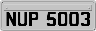 NUP5003