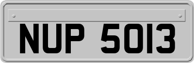 NUP5013