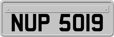 NUP5019
