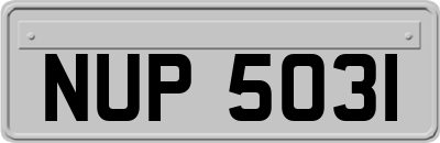 NUP5031