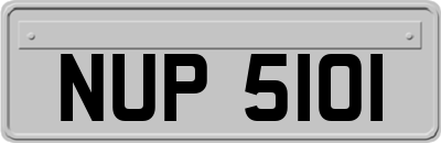 NUP5101