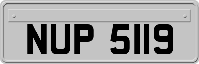 NUP5119