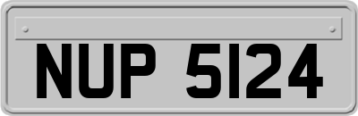 NUP5124