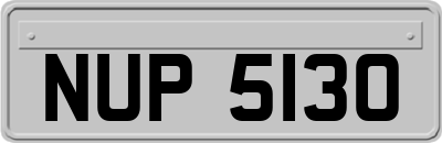 NUP5130