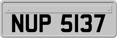 NUP5137