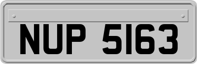 NUP5163