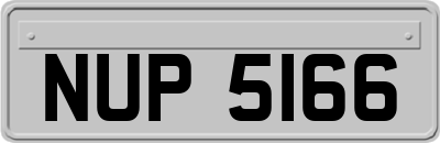 NUP5166