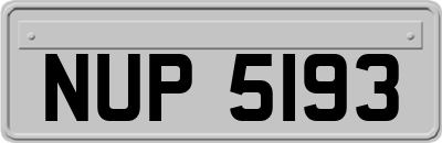NUP5193