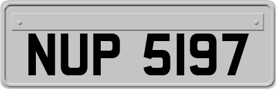 NUP5197