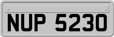 NUP5230