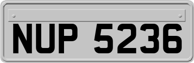 NUP5236
