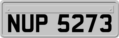 NUP5273