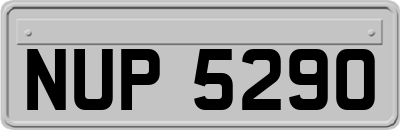 NUP5290