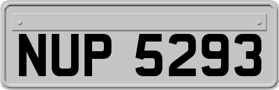 NUP5293