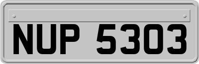 NUP5303