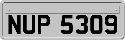 NUP5309