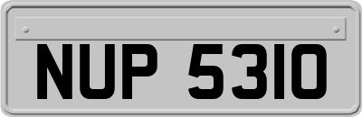 NUP5310