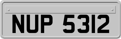 NUP5312