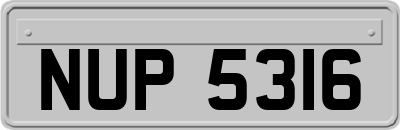 NUP5316
