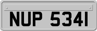 NUP5341