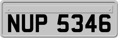 NUP5346