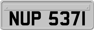 NUP5371