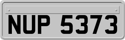 NUP5373