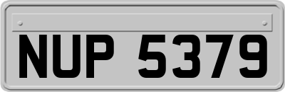 NUP5379