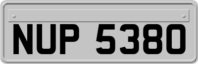 NUP5380