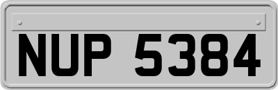 NUP5384