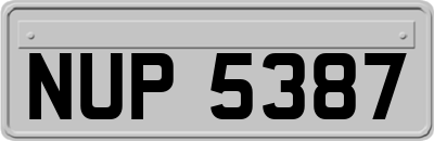 NUP5387