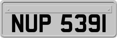 NUP5391