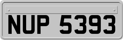 NUP5393
