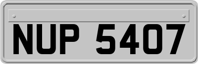 NUP5407