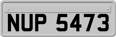 NUP5473