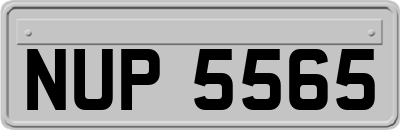 NUP5565