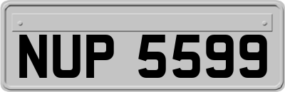 NUP5599