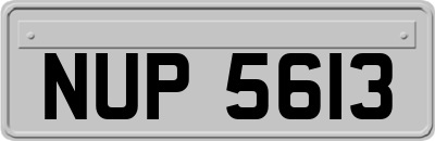 NUP5613
